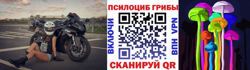 что такое   Верхоянск  Псилоцибиновые грибы Psilocybe 